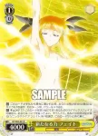 N2/W32-032 R 勝利宣言 フェイト