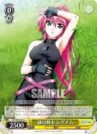 N2/W32-037 U 謎の剣士 シグナム