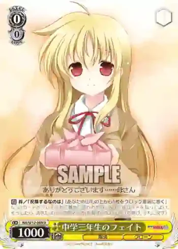 NA/W12-009 U 中学三年生のフェイト