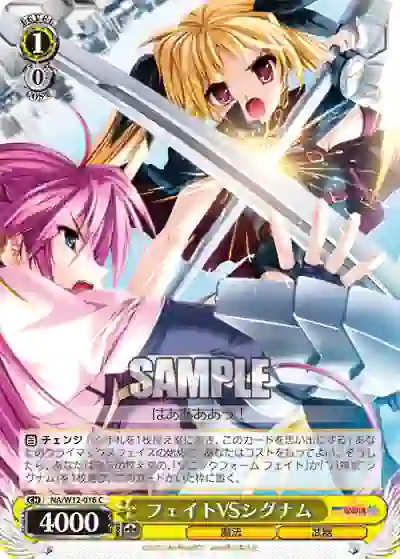 na_w12_016 NA/W12-016 C フェイトVSシグナム