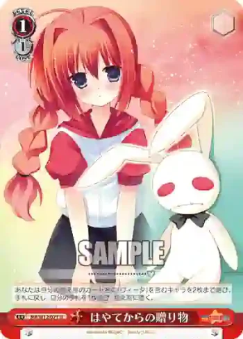 NA/W12-071 U はやてからの贈り物