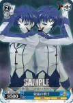 NA/W12-093 C “八神家”ザフィーラ
