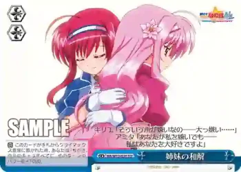 NA/W12-G26 TD 姉妹の和解