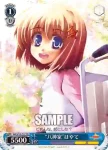 NA/W12-T13 TD “八神家”ザフィーラ