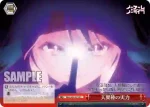 NGL/S58-078 CC 天翼種の実力