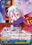 NGL/S58-087 U 消失の訪れ 白