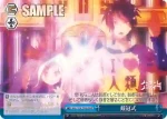 NGL/S58-T20 TD 戴冠式