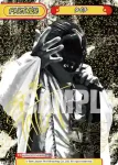 NJPW/001P-P005S PBP+ タイチ