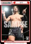 NJPW/001P-P007S PBP+ KENTA