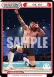 NJPW/001P-P007S PBP+ KENTA