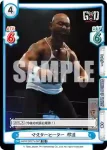 NJPW/001TV-007 TD マスターヒーター 邪道