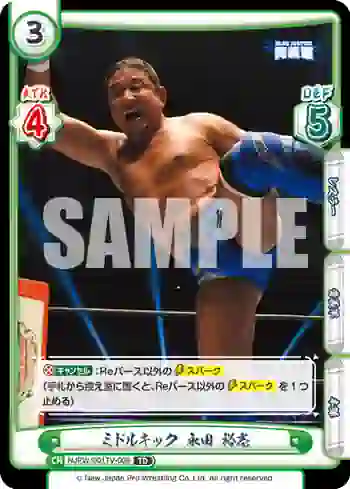 NJPW/001TV-008 TD ミドルキック 永田 裕志