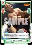 NJPW/001TV-020 TD コーナーでの追撃 石井 智宏