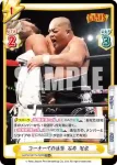NJPW/001TV-021 TD 延髄斬り 石井 智宏
