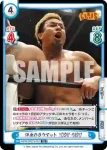NJPW/001TV-030S TD+ 強襲 矢野 通