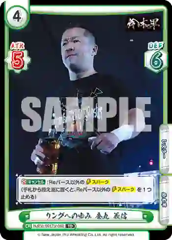 NJPW/001TV-040 TD リングへの歩み 金丸 義信