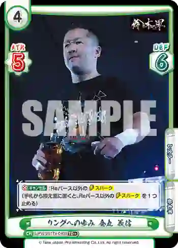 NJPW/001TV-040S TD+ リングへの歩み 金丸 義信