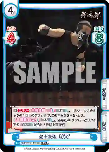 NJPW/001TV-045 TD 空中殺法 DOUKI