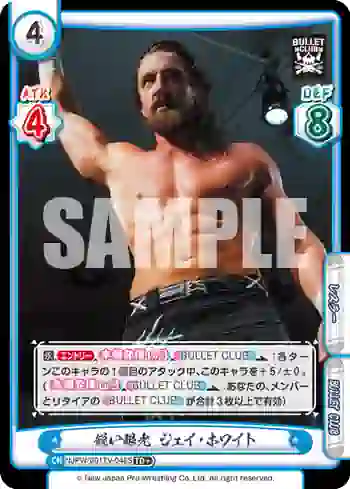 NJPW/001TV-048S TD+ 鋭い眼光 ジェイ・ホワイト
