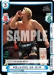 NJPW/001TV-058 TD 非道な反則行為 高橋 裕二郎