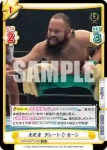 NJPW/001TV-086S TD+ 支配者 グレート-O-カーン