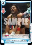 NJPW/001TV-090 TD その場跳びムーンサルト ジェフ・コブ