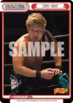 NJPW/001TV-P011S TD+ 矢野 通