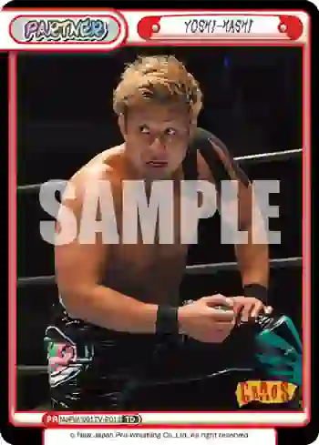 NJPW/001TV-P012 TD YOSHI-HASHI