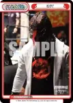 NJPW/001TV-P030 TD BUSHI