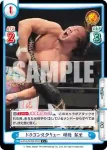NJPW/002B-004 RRR 新日本プロレス 飯伏 幸太