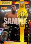 NJPW/002B-P006 BP 石井 智宏