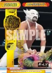 NJPW/002B-P009 BP ロビー・イーグルス