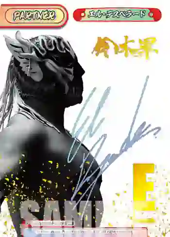 NJPW/002B-P010PP PP エル・デスペラード