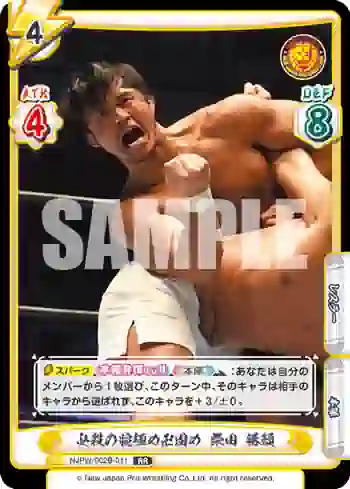 NJPW/002B-011 RR 必殺の腕極め卍固め 柴田 勝頼