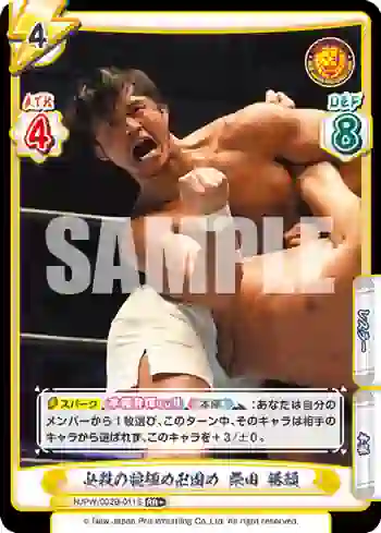 NJPW/002B-011S RR+ 必殺の腕極め卍固め 柴田 勝頼