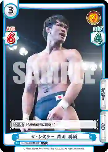NJPW/002B-012 C ザ・レスラー 柴田 勝頼