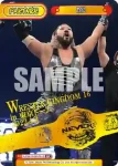 NJPW/002B-P011 BP エル・デスペラード＆金丸 義信