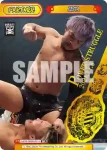 NJPW/002B-P014 BP KENTA