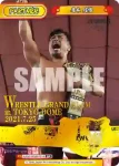 NJPW/002B-P017 BP SANADA
