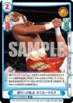 NJPW/002B-023 RR 勝利への執念 タイガーマスク