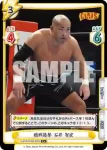 NJPW/002B-029S C+ 臨戦態勢 石井 智宏