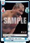 NJPW/002B-042 RRR 新日本プロレス エル・デスペラード