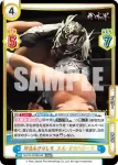 NJPW/002B-042 RRR 新日本プロレス エル・デスペラード