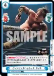 NJPW/002B-049 C ジャンピングハイキック タイチ
