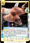 NJPW/002B-056S C+ ジャーマンスープレックス SHO