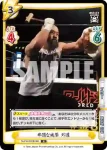 NJPW/002B-060 R 非道な攻撃 外道