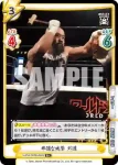 NJPW/002B-060 R 非道な攻撃 外道