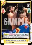 NJPW/002B-064 R パッケージドライバー チェーズ・オーエンズ