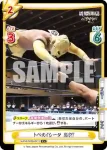 NJPW/002B-082 R ランペイジ アーロン・ヘナーレ