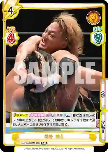 NJPW/003B-003 RRR 海野 翔太